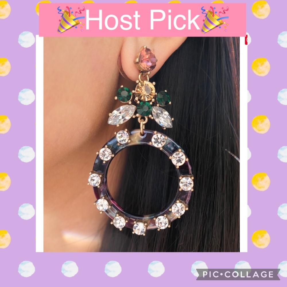 🎉HP🎉 Multi Color Rhinestone Earrings
